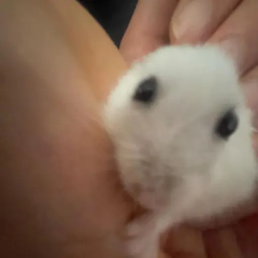 Tuikkm의 송예서