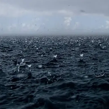 Profile image of 大寿