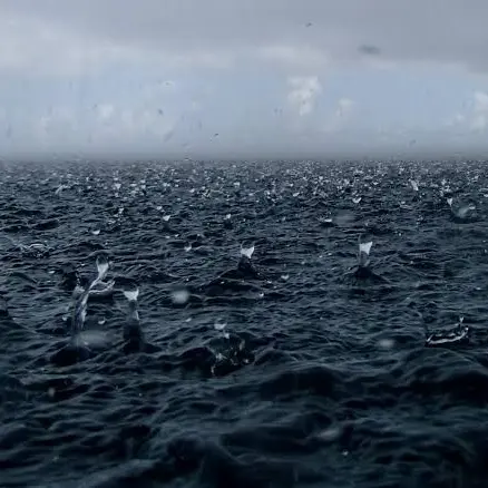 RipeStale4974의 柴長男幼少期