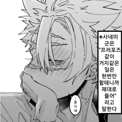 FunnyZebra3565의 시나즈가와 사네미