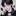 박상우