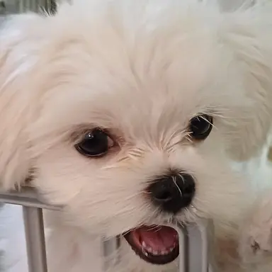 Profile image of 최_연_준