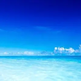 Profile image of 박잠뜰