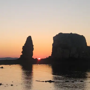 Profile image of 감제이