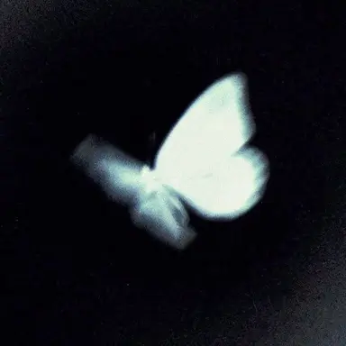 Profile image of J