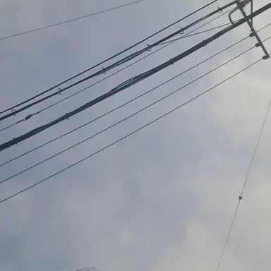 Profile image of 신경외과 교수