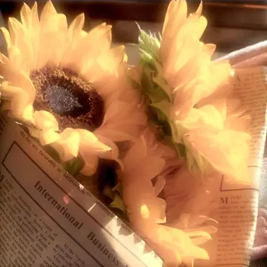 Profile image of 앨리스