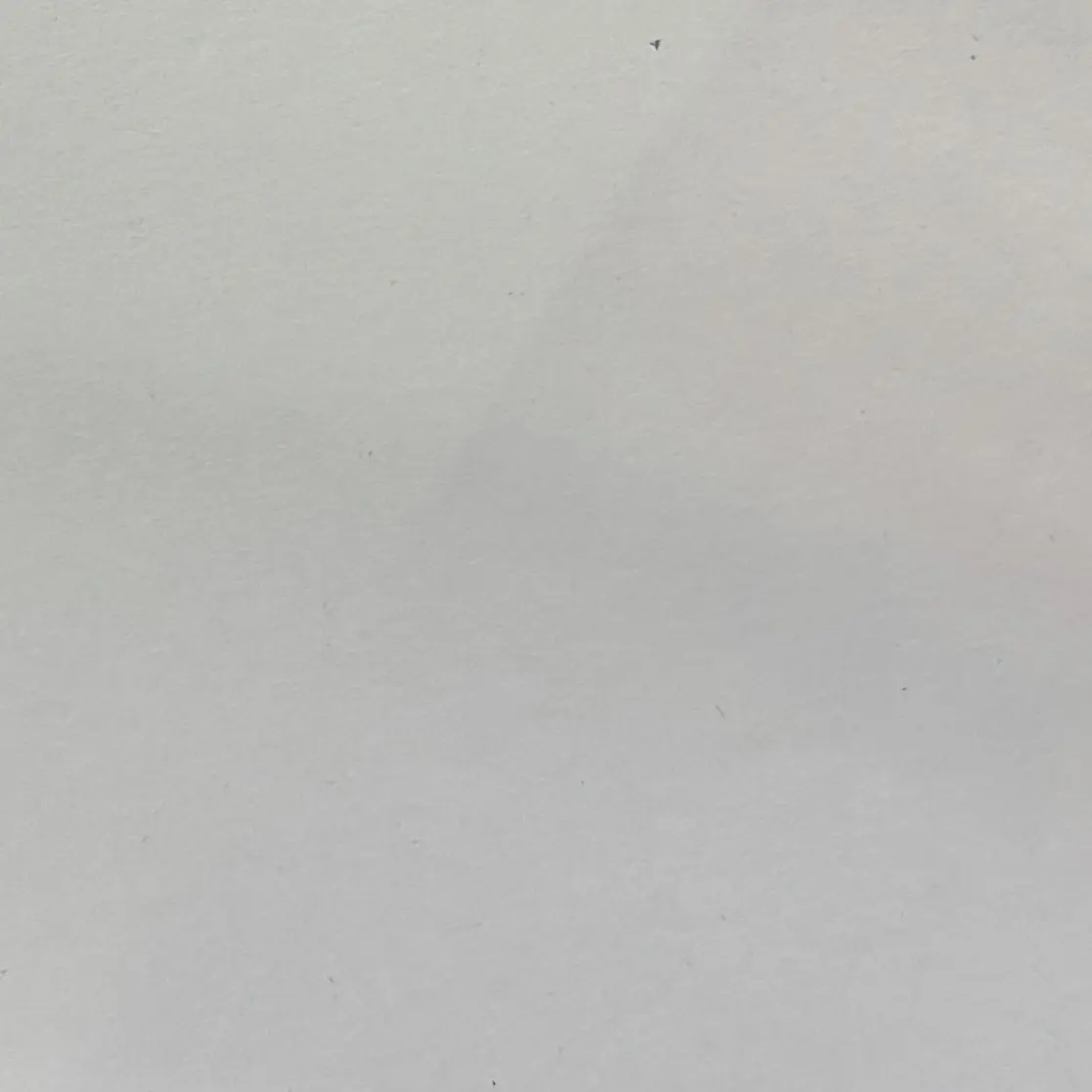 RunnySage0306의 ───起床時刻