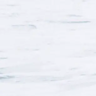 Jisssss_svt의 ＷＯＮＷＯＯ