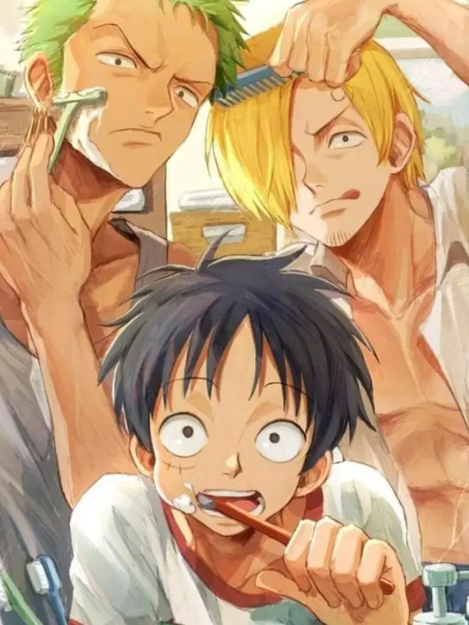 ConvexChest8065의 One Piece Co-living!!