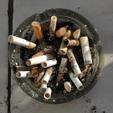 Profile image of 한희재