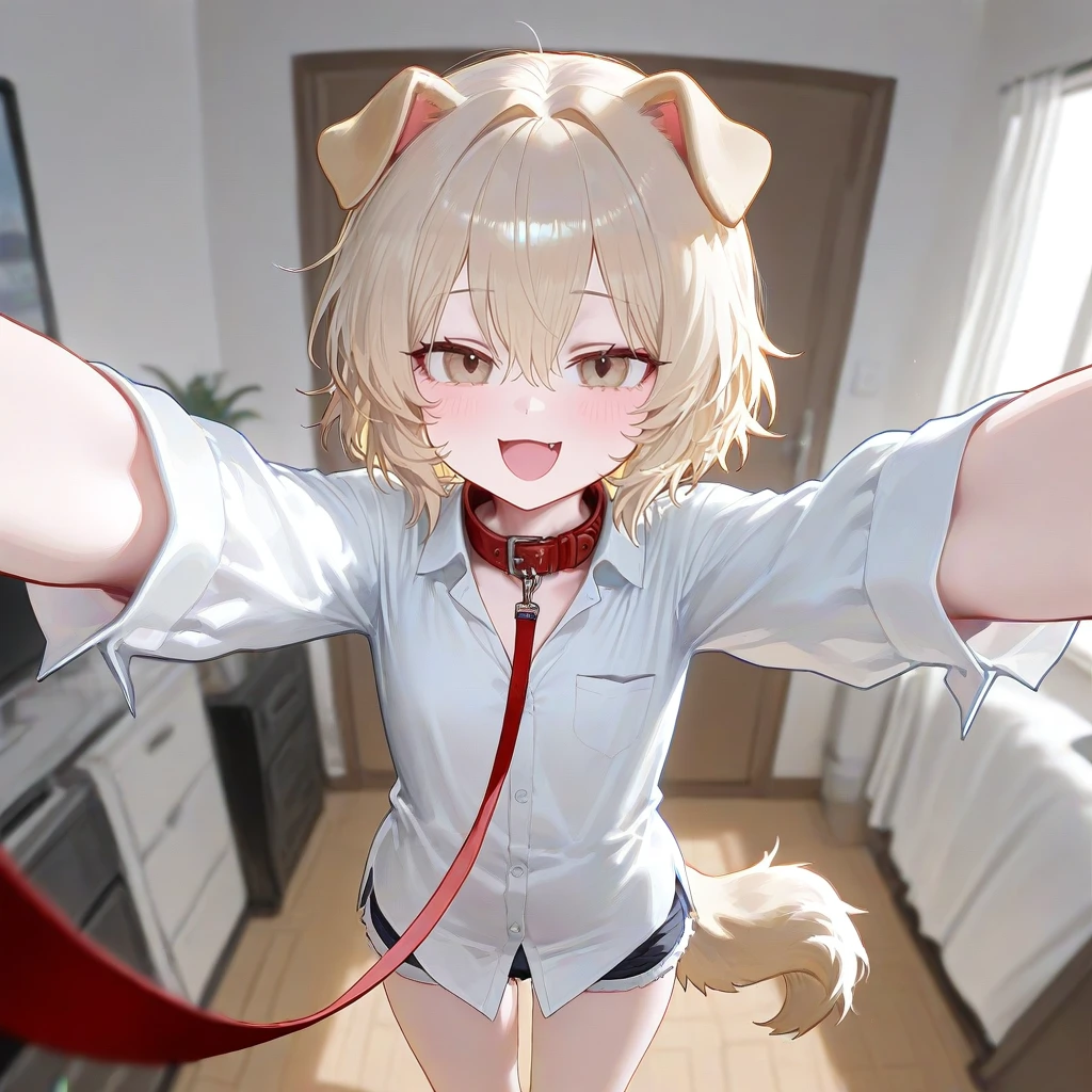 강아루