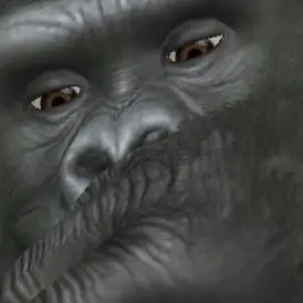 Profile image of 御槍