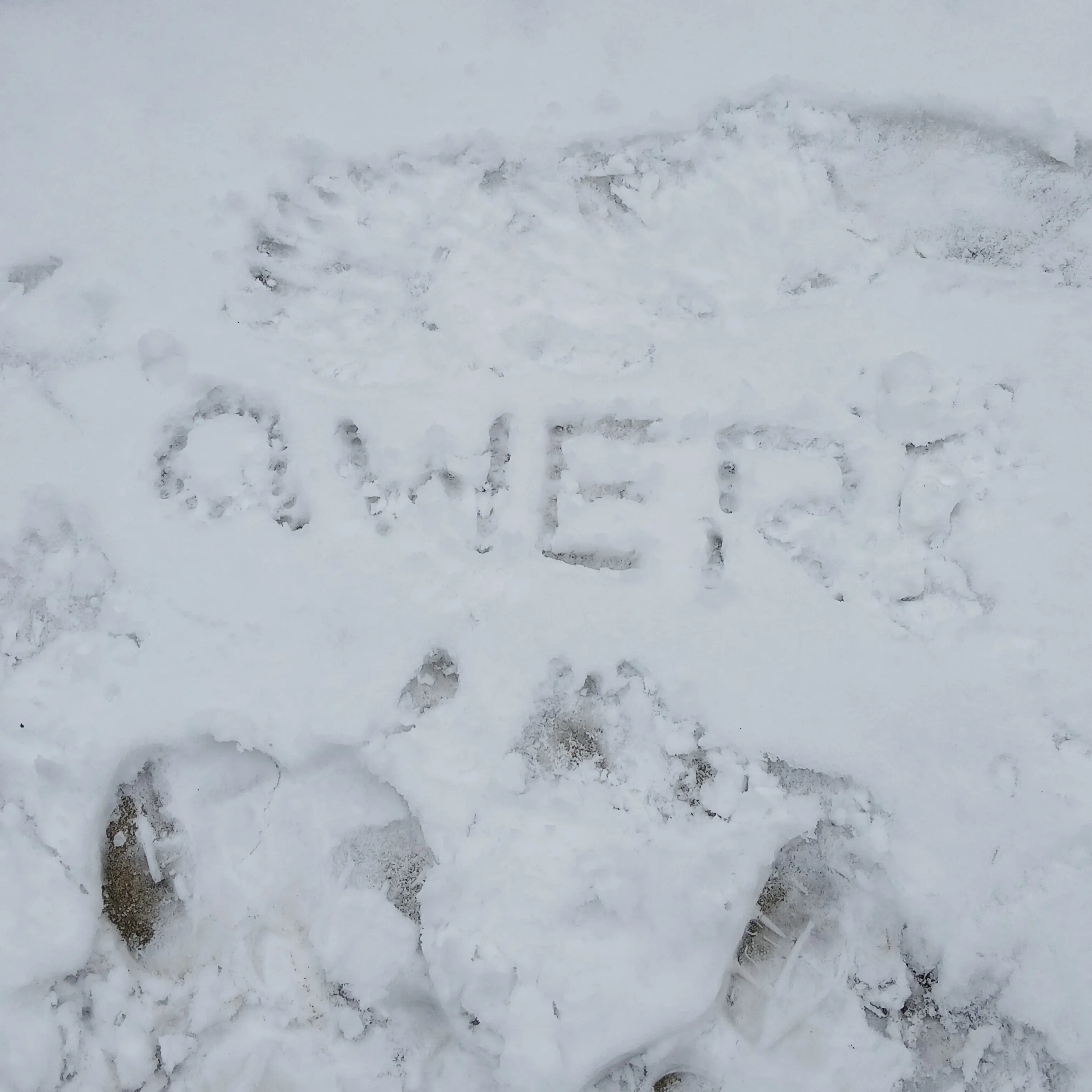 nongdamgom2014의 QWER ><