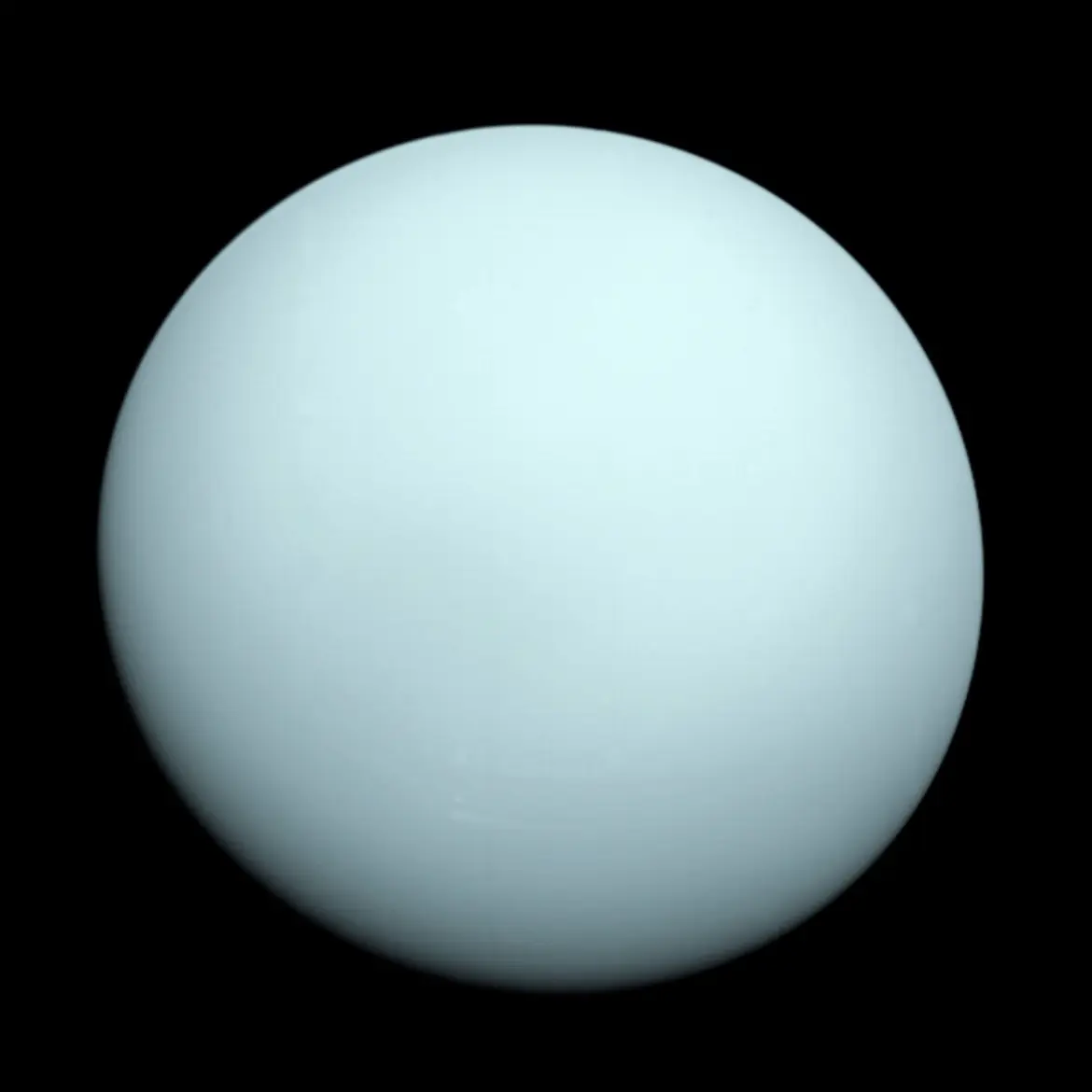 RunnyMilk3195의 신