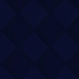 Profile image of Mira