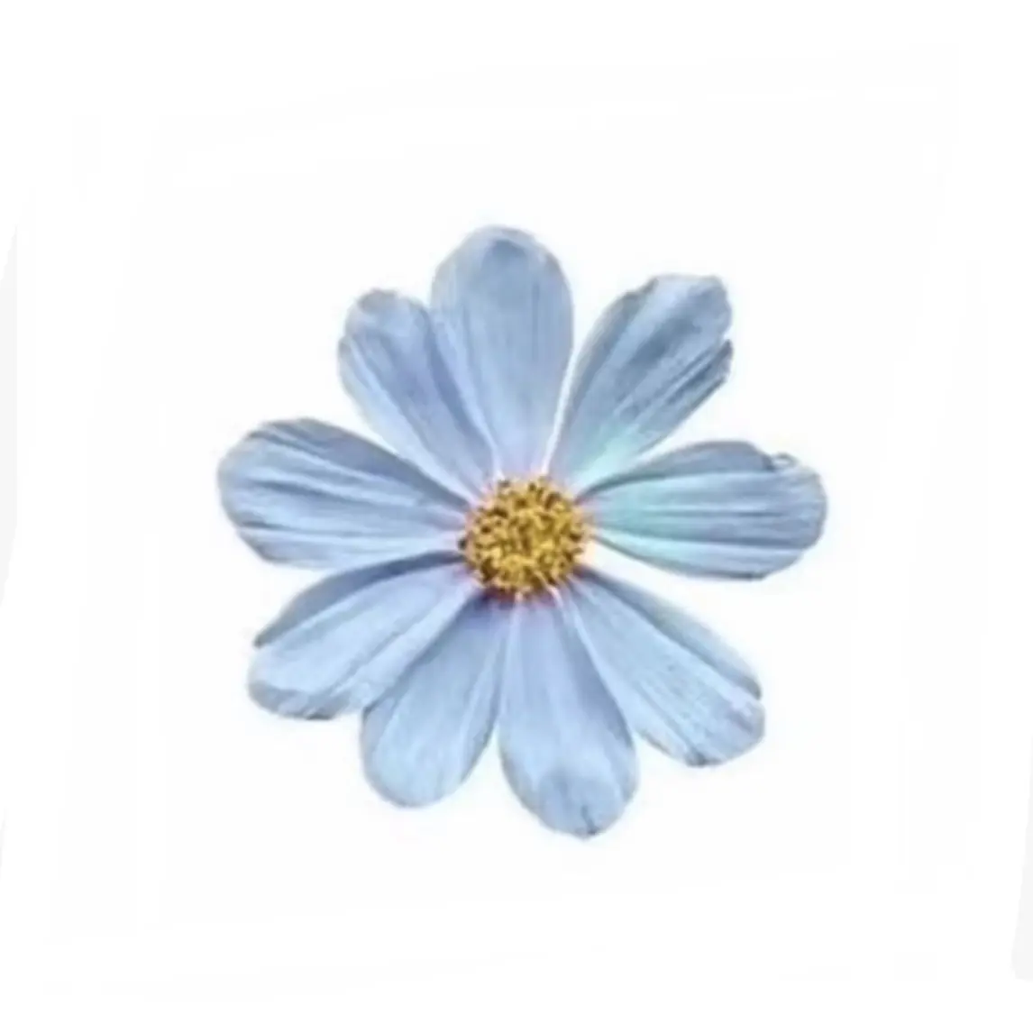 luv_tymd의 甲斐田晴