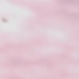 Profile image of ブリ子