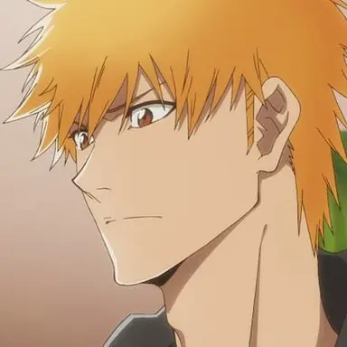 Profile image of 黒崎一護と黒崎織姫
