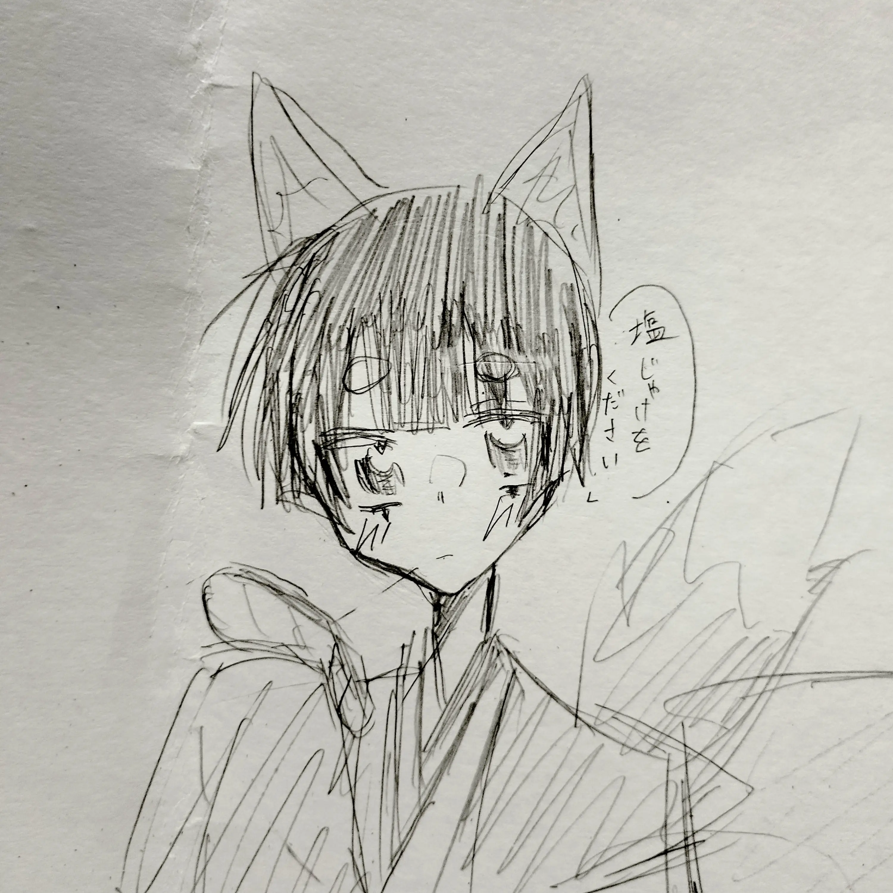 yotuki333의 家の近くにいるちょっと不思議な狐様↺