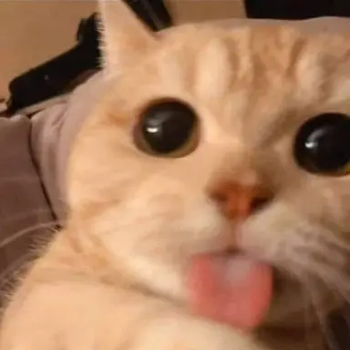 Profile image of 아고놈