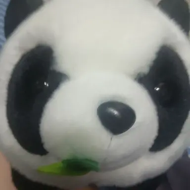 Profile image of 박혜령 선생님