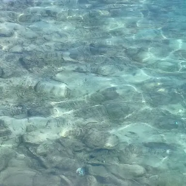 Profile image of イタリア