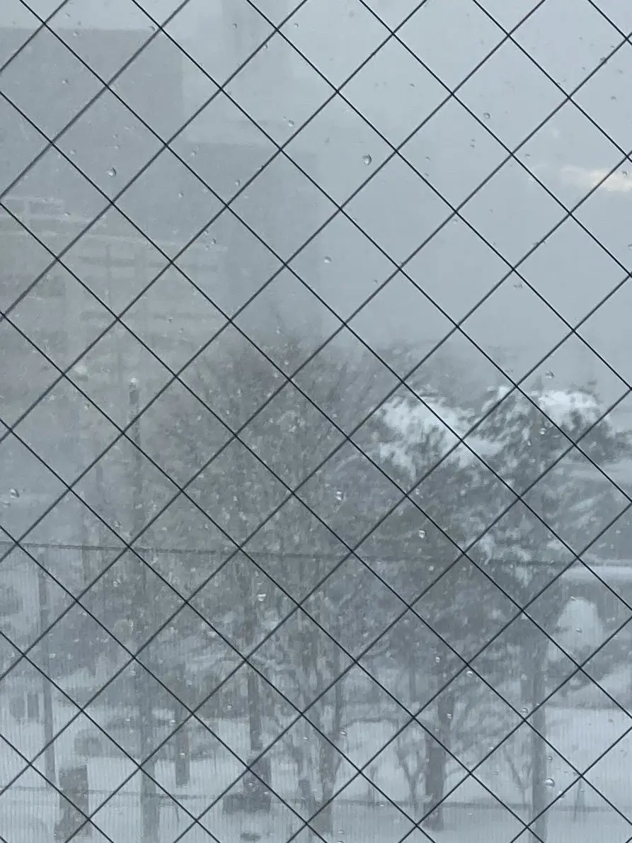 LonelyGulf0274의 終末世界 二人きり