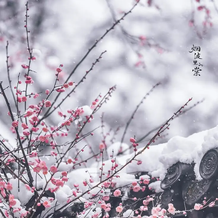 yywe_go_il의 무연