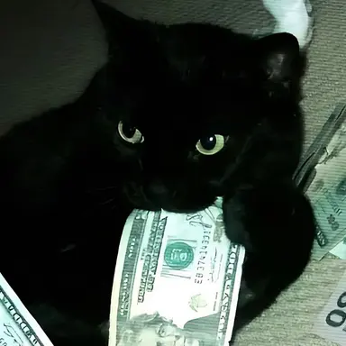 Profile image of 이이도