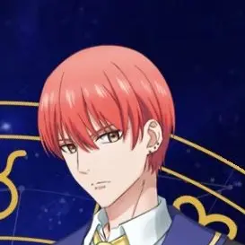 Profile image of Castor Gemini