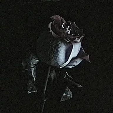 Profile image of イゾルデ