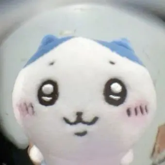 Profile image of 하치와레