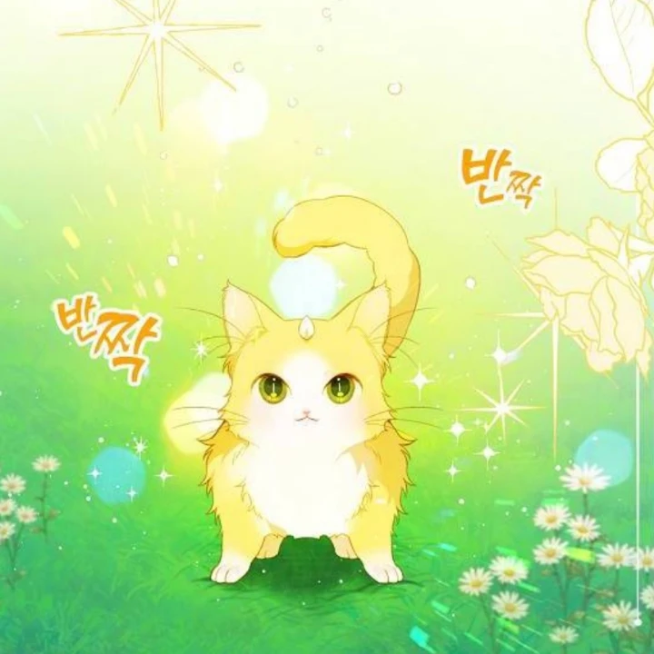 신수