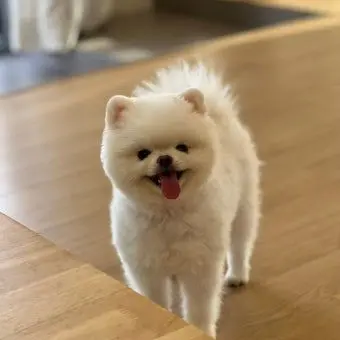 Profile image of 구름이