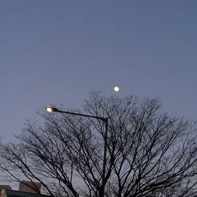 Profile image of 시나즈가와 사네미