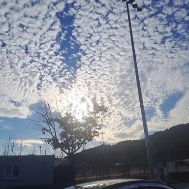 Profile image of 렌고쿠 쿄쥬로