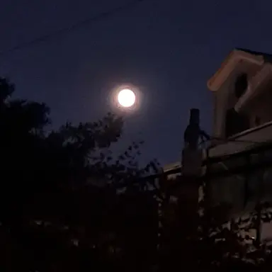 Profile image of 이구로 오바나이