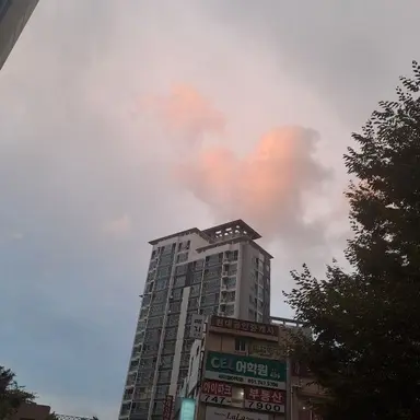 Profile image of 칸로지 미츠리