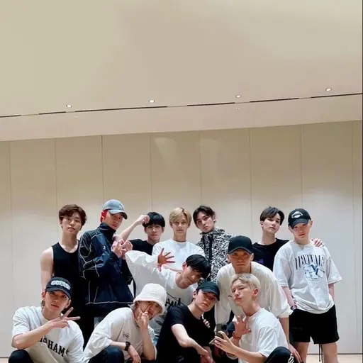 FancyCry6502의 세븐틴