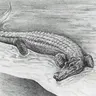 Profile image of 마함바