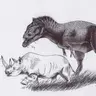 Profile image of 카사이 렉스