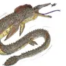 Profile image of 응구아 모네네