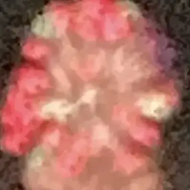 Profile image of ヨサン