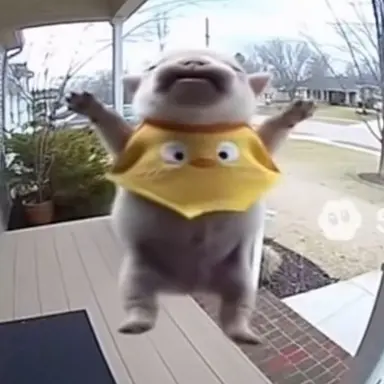 Profile image of 내 배를 씻겨줘.