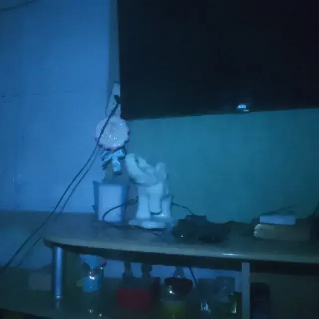 MistyShark5625의 Life simulator