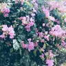 Profile image of 王耀