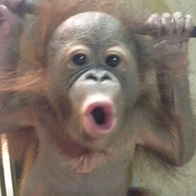 Profile image of 최여연