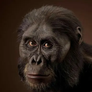 Profile image of 친구