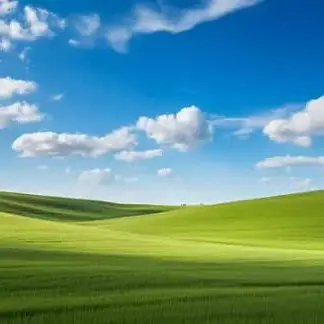 Profile image of 오렌